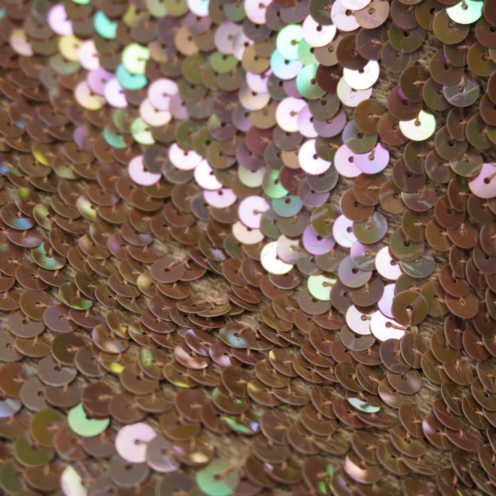 Ingrandimento macro del ricamo a scaglie di pesce con paillettes piatte e fitte cucite singolarmente sul top vintage.