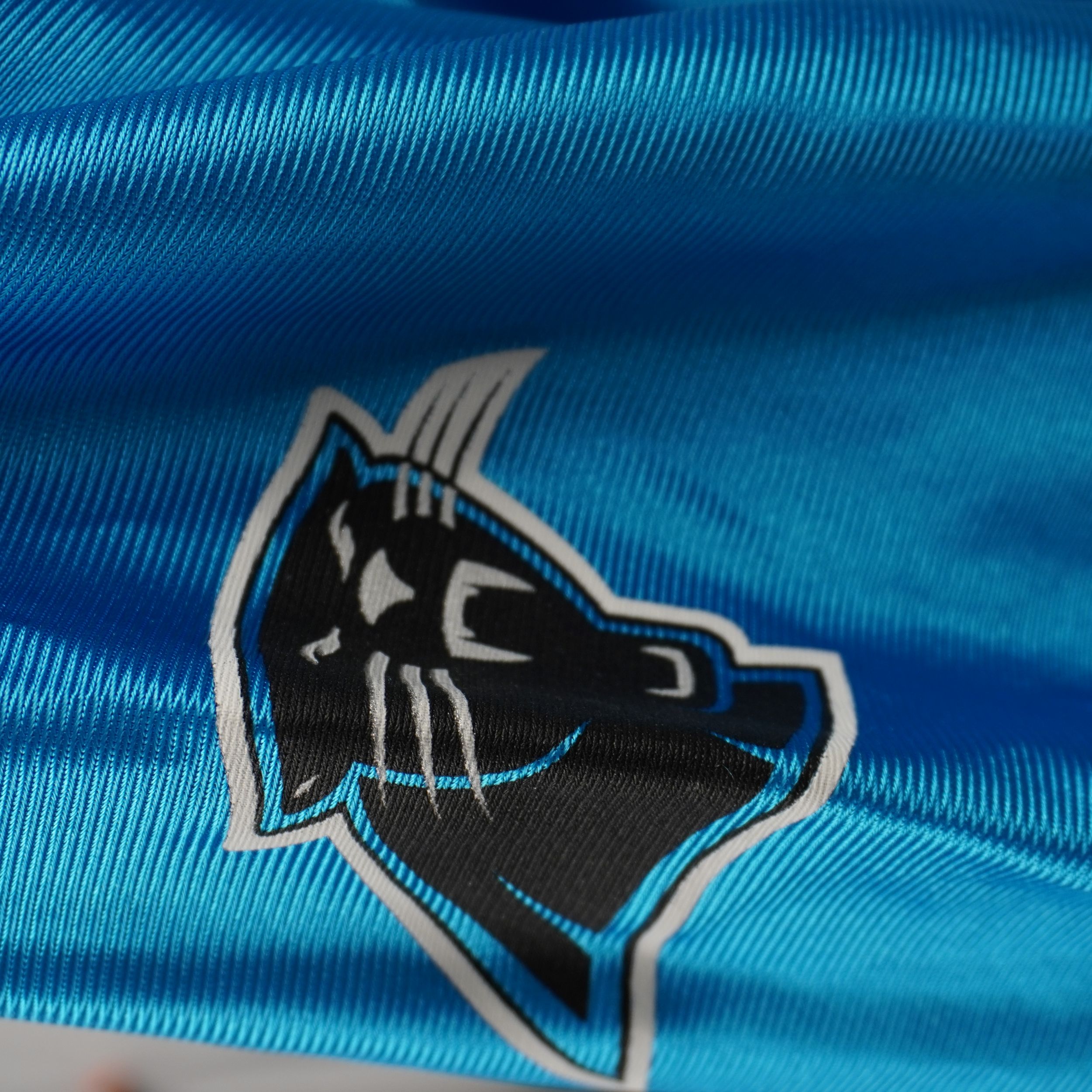 Dettaglio del logo vintage dei Carolina Panthers stampato sulla manica della maglia Reebok.